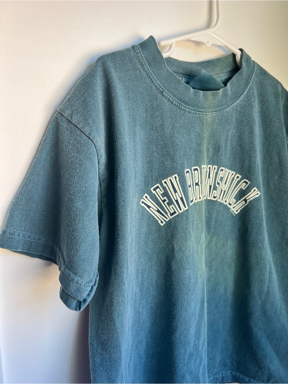 Vintage New Brunswick Graphic T-Shirt Youth Small 10-12 Blue Green